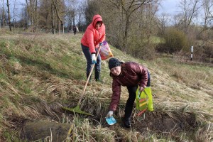 IMG_9557 (Копировать)