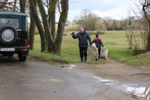 IMG_9560 (Копировать)