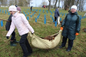 IMG_9563 (Копировать)