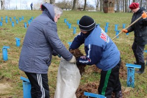 IMG_9564 (Копировать)