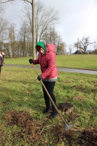 IMG_9567 (Копировать)