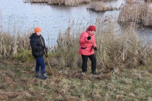 IMG_9579 (Копировать)