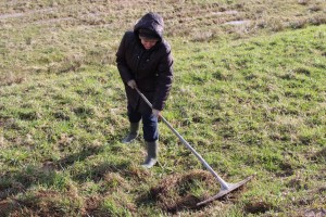 IMG_9582 (Копировать)