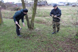 IMG_9598 (Копировать)