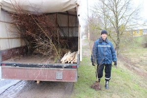 IMG_9648 (Копировать)