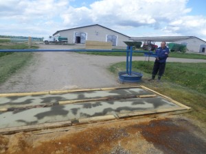 SAMSUNG CAMERA PICTURES