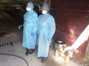 SAMSUNG CAMERA PICTURES