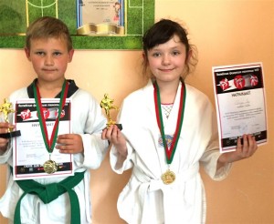 Манулик Синица