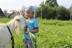 IMG_9075 (Копировать)