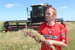 камбайнер ААТ “Васюкі” Аляксандр Мядзюха. Ідзе разгрузка збожжа на зернетаку 