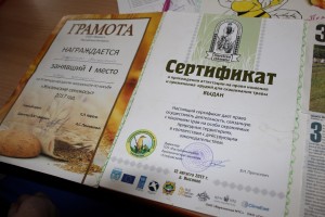 IMG_6905 (Копировать)