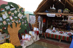 IMG_9419 (Копировать)