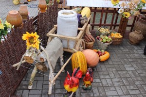 IMG_9425 (Копировать)