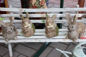 IMG_9428 (Копировать)