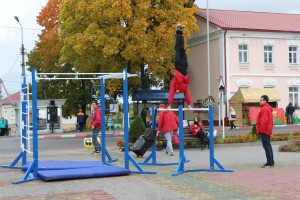 IMG_9433 (Копировать)