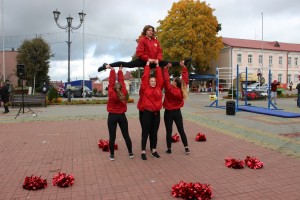 IMG_9522 (Копировать)