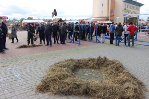 IMG_9550 (Копировать)