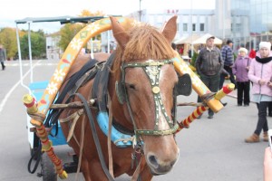 IMG_9641 (Копировать)