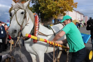 IMG_9650 (Копировать)