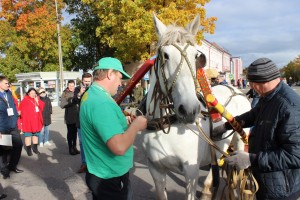 IMG_9653 (Копировать)