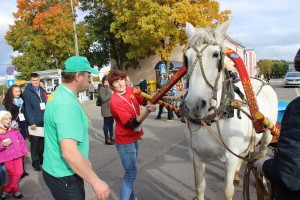 IMG_9658 (Копировать)