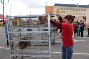 IMG_9681 (Копировать)