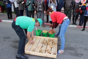 IMG_9688 (Копировать)