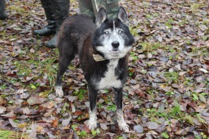 IMG_1268 (Копировать)