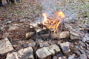 IMG_1290 (Копировать)