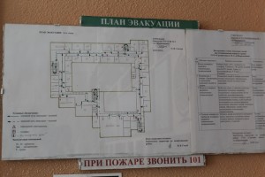 IMG_8710 (Копировать)