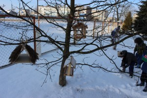 IMG_4699 (Копировать)