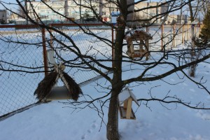 IMG_4701 (Копировать)