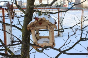 IMG_4702 (Копировать)