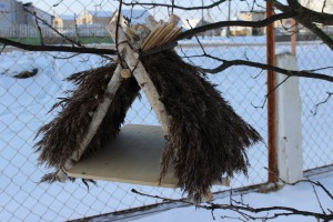 IMG_4704 (Копировать)