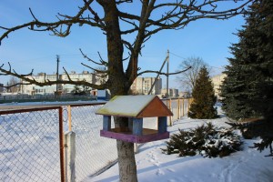 IMG_4706 (Копировать)