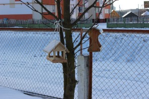 IMG_4710 (Копировать)