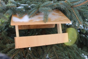 IMG_4717 (Копировать)