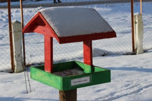 IMG_4718 (Копировать)