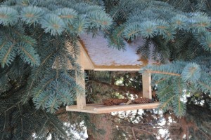 IMG_4724 (Копировать)