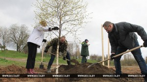 000022_1523452253_67947_big