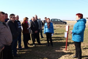 IMG_2763 (Копировать)