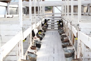 IMG_2778 (Копировать)