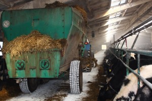 IMG_2782 (Копировать)