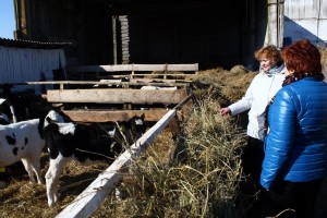 IMG_2788 (Копировать)