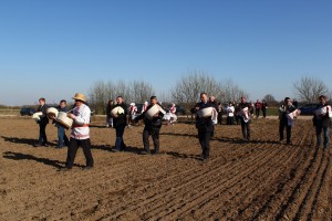 IMG_2866 (Копировать)