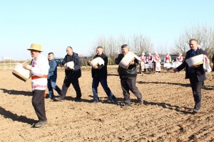 IMG_2868 (Копировать)