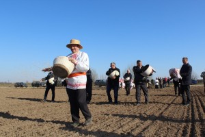 IMG_2871 (Копировать)