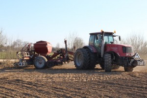 IMG_2881 (Копировать)