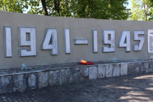 IMG_0782 (Копировать)