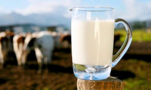 качество-молока-768x461 (1)